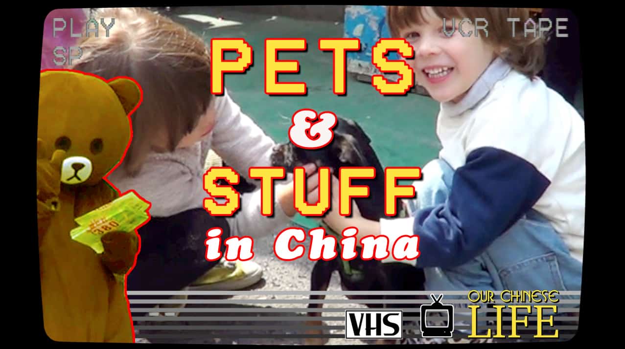 Featured image for “Learn Some Funny Truths About Life in China With Web Show Our Chinese Life”