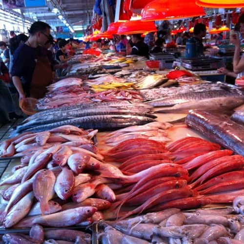 Featured image for “Shekou Market”