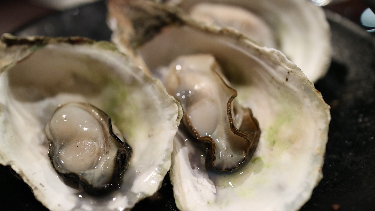 Featured image for “Oysters the Bio-Terraformers of Coastal Seas in Shenzhen and Beyond”